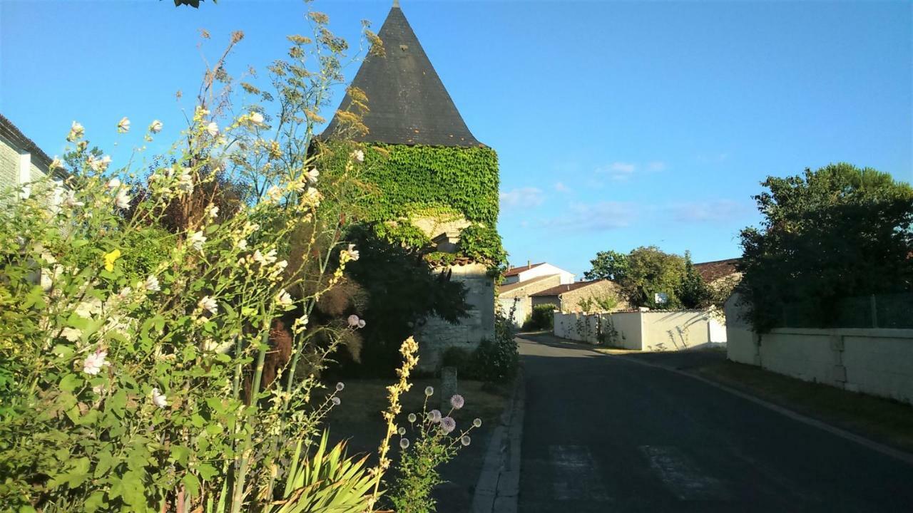 Les Gites Du Vigneron Et Cd'H Saint-Seurin-de-Palenne Exterior foto